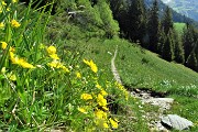 12 Dal bosco il sentiero si apre su  pianoro prativo